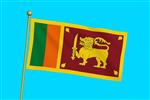 Vlag Sri Lanka 300x450 cm