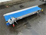 Transportband roestvrij staal 180 x 30 cm