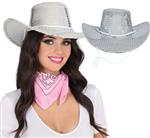 Cowgirl Hoed Zilver Glans