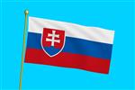 Vlag Slowakije 300x450 cm