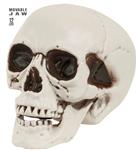 Halloween Schedel Met Beweegbare Kaak 12cm