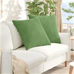 vidaXL Sofa Kussens 2 stuks Lichtgroen 80 x 80 cm Cordstof