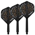 Target K-Flex Raymond van Barneveld NO2