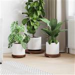 vidaXL Plant Stool 3 pcs Bruin Mahoniehout