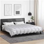 vidaXL Winter Dekbed Zilver 200 x 200 cm Satijn en Microfiber