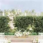 vidaXL Trouwrand Goud 195 x 35 x 211 cm Staal