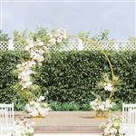 vidaXL Trouwrand Goud 220 x 45 x 200 cm Staal