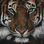 Kunsthandel Gennep - 