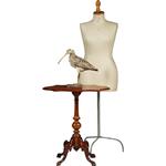 Willem III Wijntafel mahonie met geschulpt ovaal blad ca 1880 (No.361855)