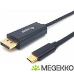 Equip 133428 video kabel adapter 3 m USB Type-C DisplayPort Grijs