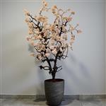 'AANBIEDING'  Kunstbloesemboom