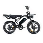 QM Wheels V20 Pro Elektrische Fatbike 250W