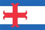 Vlag Zutphen 300x450 cm