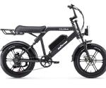 Ape Ryder Colobus Premium E-bike 