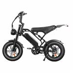 V20 Mini Fatbike 2026