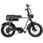 EB2 Pro – Fatbike – Grijs