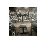 LIFE FITNESS - 9500 HR - STEPPER