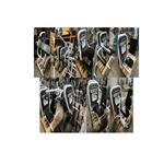 LIFE FITNESS - CIRCUIT SERIES SET WIT OF ZILVER - COMPLETE SET