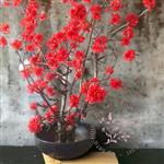 Kunst bloesemboom – Kunstboom – rode bloesem - 150cm - Voor Binnen