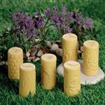 Let's roll! - insecten