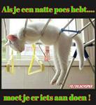  nette weduwnaar zoekt dito dame