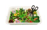 Sensory Play Tray - insecten - speelrijst