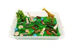 Sensory Play Tray - wilde dieren - speelrijst