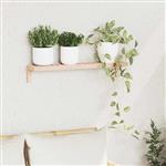 vidaXL Wandhangrek Naturel 62 x 10 x 12,5 cm Massief Notenhout