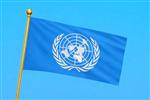 Tafelvlag Verenigde Naties, VN 10x15