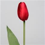 Lange tulp rood
