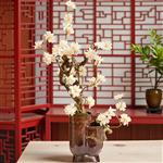 Kunst Bonsai – Bloeiende creatie