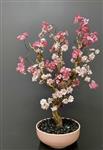 Kunst bloesemboom – Kunstboom – zacht en fel roze - 75cm – Voor binnen – Kerselaar - Sakura