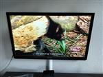 Panasonic Viera TX- P 42G30TX 3D  