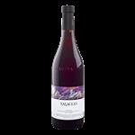 Azienda Agricola Paolo Saracco Piemonte DOC Pinot Nero 2024