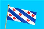 Vlag provincie Friesland 300x450 cm