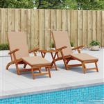 vidaXL Ligstoelkentingen en opvouwbare zonnebader 2 pcs