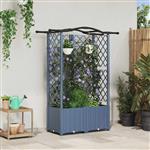 vidaXL Verhoogd Bed met Trellis en Dak Grijs 122 x 40 x 141 cm PP