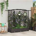 vidaXL Verhoogd Bed met Trellis en Dak Bruin 163 x 40 x 126 cm PP