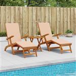 vidaXL Ligstoelkentingen en opvouwbare zonnebader 2 pcs