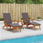 vidaXL Ligstoelkentingen en opvouwbare zonnebader 2 pcs Grijs