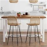 vidaXL Barkruk 2 pcs Naturel 44 x 55 x 109 cm Rattan en staal