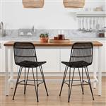 vidaXL Eetkamerstoel 2 pcs Zwart 41 x 55 x 85 cm Rattan en staal