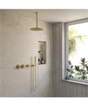 BWS Inbouw Regendouche | Sensa | Goud | Plafonduitloop | 30cm Hoofddouche met Handdouche | Stopkrane