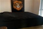Appartement Ericastraat in Eindhoven