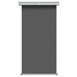 vidaXL Zijscherm Balkon 100% polyester ijzer staal