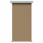 vidaXL Zijscherm Balkon 100% polyester ijzer staal