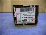 m10x220mm gegalvaniseerd 25ST