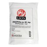 LION afdekfolie extra sterk 4 x 4 m transparant 16m2 E1120040-OVD