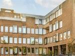 Studio Rogier van der Weydestraat in Alkmaar