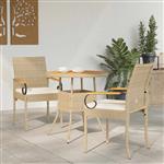 vidaXL Tuinstoelen 2 pcs Beige en Crème Wit Poly rattan en acacia